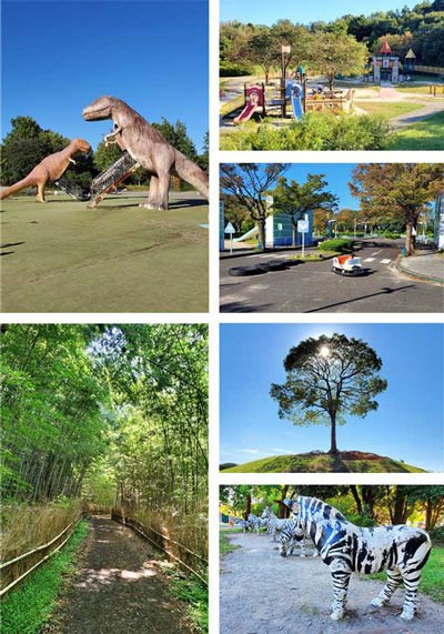 🌳 오다카 녹지 공원 (오다카 료쿠치) 이미지 4